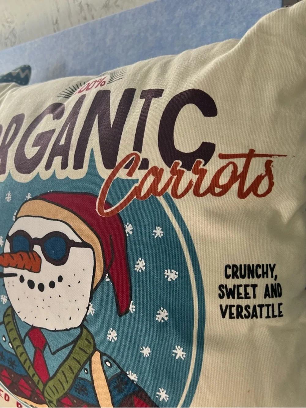 PBK Organic Carrots Decorative Throw Pillow - set of 2. Cream and Blue